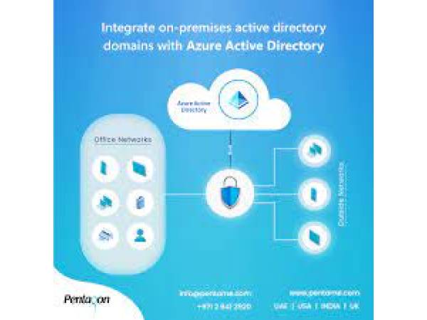 Pentagon Information Technology